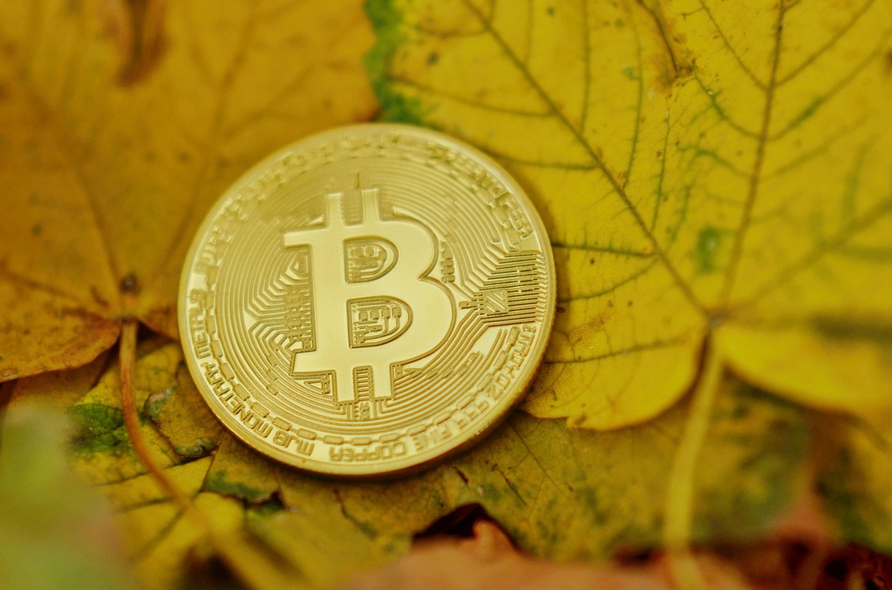 Meanwhile比特币寿险获4000万美元融资！Framework Ventures与Fulgur Ventures共同领投